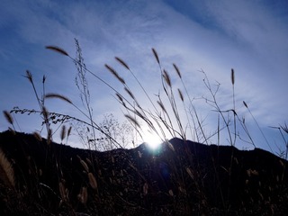 PC200128_DxO