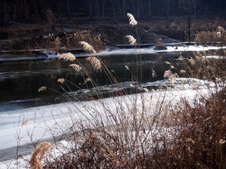 PC200164_DxO