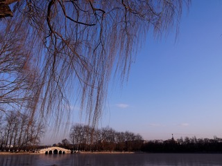 PC210435_DxO