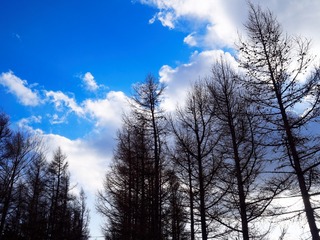 P1180307_DxO