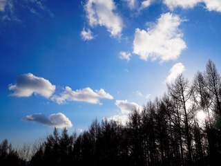 P1180315_DxO