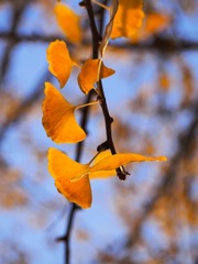 PB080024_DxO