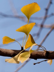 PB080044_DxO