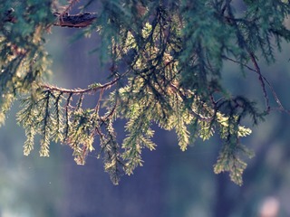 PB080129_DxO