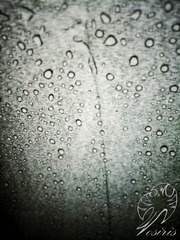 雨落在旧光阴的原点