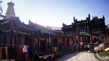 DSC02444_副本.jpg
