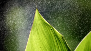 5Y3A0706