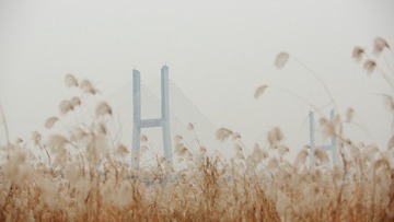 5Y3A0375