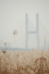 5Y3A0386