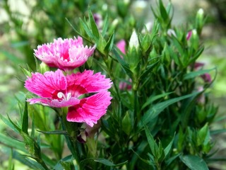 RIMG0324
