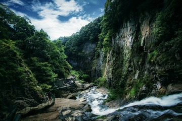 DSC_0316 拷2