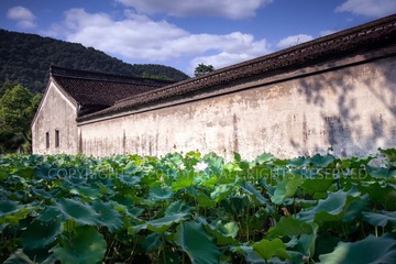 DSC_0137 拷贝