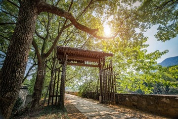 DSC_0100 拷贝