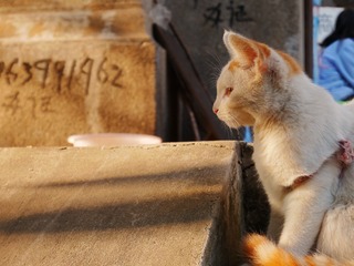 P1000317