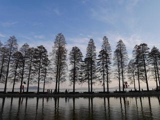 P1030568
