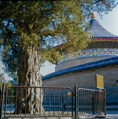 TianTan_place4