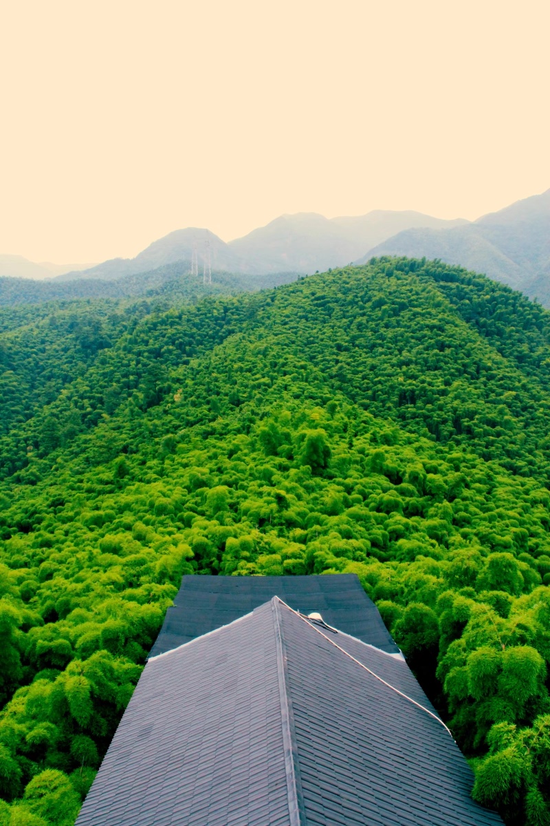 安吉中国大竹海体验一把卧虎藏龙