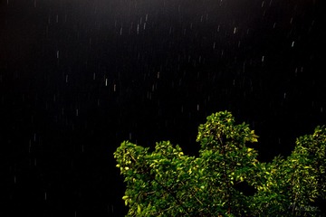 _MG_3645-9-8