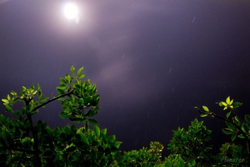 _MG_3647-10-9