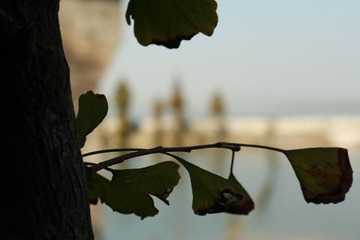 2014-11-04-0289