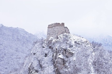 IMG_7318.jpg