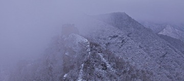 IMG_7328.jpg