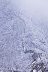IMG_7366.jpg