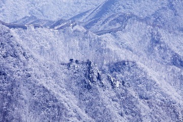 IMG_7368.jpg