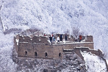 IMG_7376.jpg