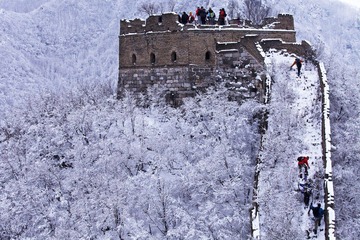 IMG_7384.jpg