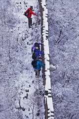 IMG_7385.jpg