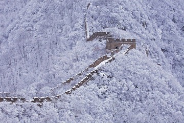 IMG_7396.jpg