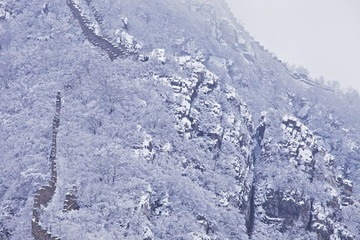 IMG_7397 (1).jpg
