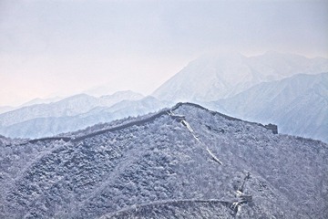 IMG_7398.jpg