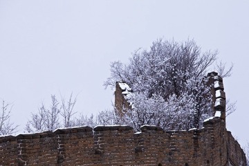 IMG_7400.jpg