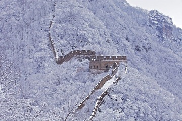 IMG_7403.jpg