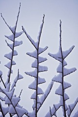 IMG_7428.jpg
