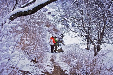 IMG_7430.jpg