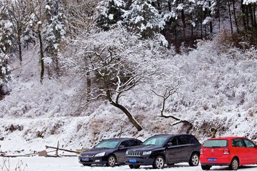 IMG_7431.jpg