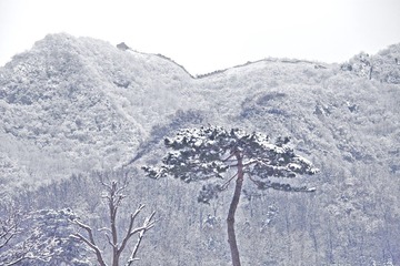 IMG_7433.jpg