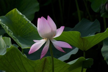 IMG_0339.jpg