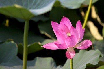IMG_0344.jpg