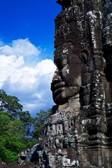 DSCF8819.jpg