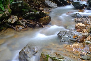 DSCF8222.jpg