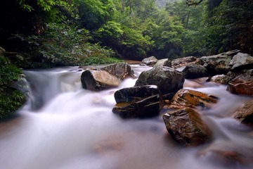 DSCF8227.jpg