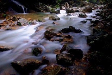 DSCF8231.jpg