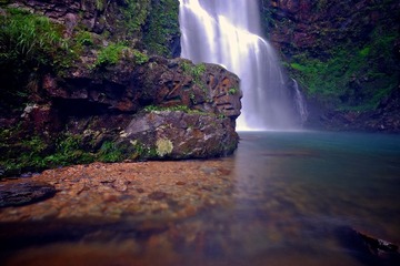 DSCF8183.jpg