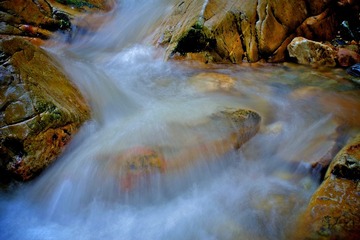 DSCF8224.jpg