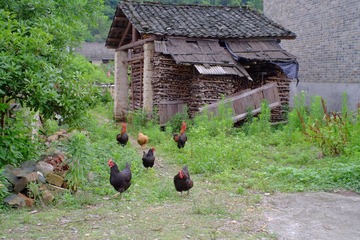 DSCF8312.jpg