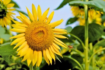 DSCF9035.jpg